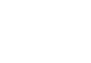 Herbata Świata Logo